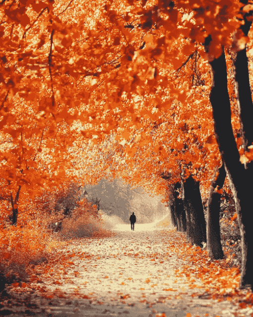 Autumn Walk Landscape Diamond Painting