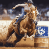 Barrel Racing Horse Diamond Painting