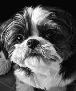 Black And White Shih Tzu Puppy Diamond Painting