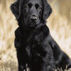 Black Flat Coated Retriever Puppy Diamond Painting