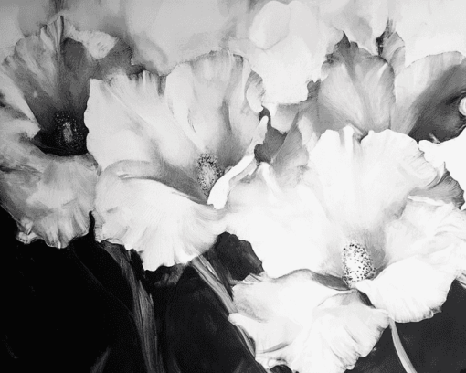 Black and White Flower Diamond Painting