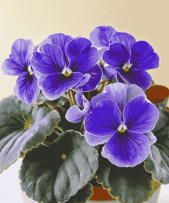 Blue African Violet Blossoms Diamond Painting