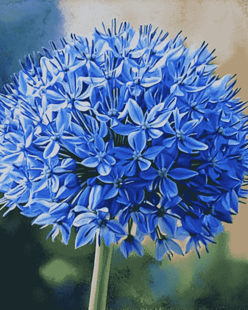 Blue Allium Blossoms Diamond Painting