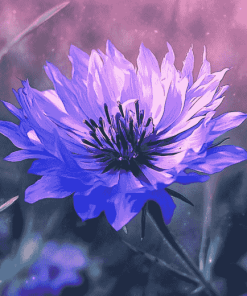 Blue Cornflower Blossoms Diamond Painting