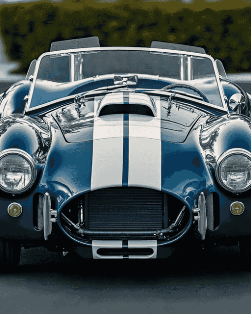 Blue Ford Shelby Cobra Car Diamond Painting