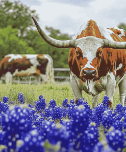 Bluebonnets and Longhorns Diamond Painting