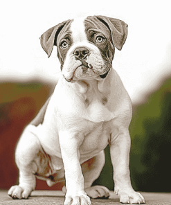 Bulldog Puppy Portraits Diamond Painting