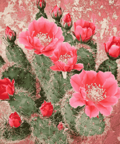 Cactus with Pink Rose Blossoms Diamond Painting