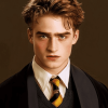 Captivating Cedric Diggory Diamond Painting