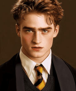 Captivating Cedric Diggory Diamond Painting