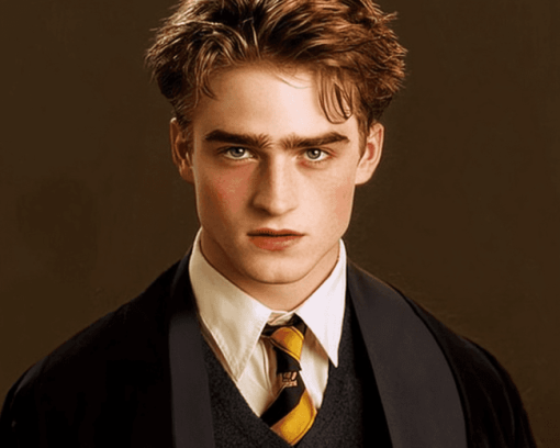 Captivating Cedric Diggory Diamond Painting