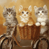 Cat Kittens Bicycle Diamond Painting