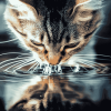 Cat Water Drinking Diamond Painting