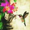 Cat and Hummingbird Diamond Painting