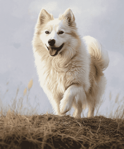 Charming Iceland Sheepdog Diamond Painting