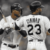 Chicago White Sox Baseball Diamond Painting