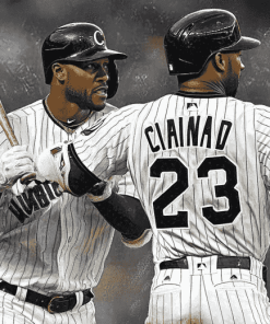 Chicago White Sox Baseball Diamond Painting