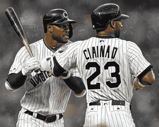 Chicago White Sox Baseball Diamond Painting