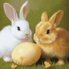 Chick and Bunny Diamond Painting