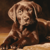 Chocolate Labrador Puppy Diamond Painting