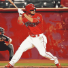 Cincinnati Reds Baseball Legends Diamond Painting