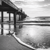 Clearwater Beach Black And White Diamond Painting