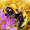 Close Up Bumblebee Insect Diamond Painting