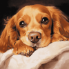 Cocker Spaniel Puppy Diamond Painting