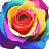 Colorful Rose Blossoms Diamond Painting