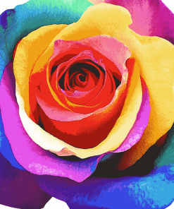 Colorful Rose Blossoms Diamond Painting