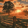 Country Landscape Sunset Diamond Painting