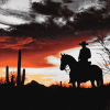 Cowboy Silhouette in Arizona Sunset Diamond Painting