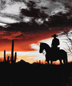 Cowboy Silhouette in Arizona Sunset Diamond Painting