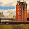 Curitiba Skyscraper Landscape Diamond Painting