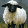 Cute Blacknose Sheep Diamond Painting