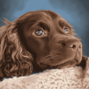 Cute Boykin Spaniel Puppy Diamond Painting