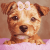 Cute Puppies Paradise Diamond Painting