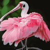 Cute Roseate Spoonbill Bird Diamond Painting