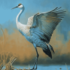 Cute Sandhill Crane Diamond Painting