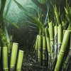 Diamond Sugarcane Plants Diamond Painting