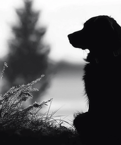 Dog Silhouette Black and White Diamond Painting