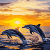 Dolphins and Sunset Diamond Painting