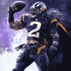 Elegant Minnesota Vikings Diamond Painting