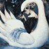 Elegant Woman and Swans Diamond Painting