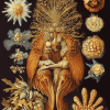 Ernst Haeckel Masterpieces Diamond Painting