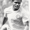 Eusebio Da Silva Football Legend Diamond Painting