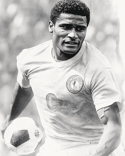 Eusebio Da Silva Football Legend Diamond Painting