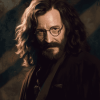 Explore the Magic of Sirius Black Diamond Painting