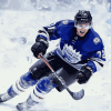 Famous Ice Hockey Mitch Mamer Diamond Painting