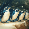 Fantasy Fairy Penguins Diamond Painting